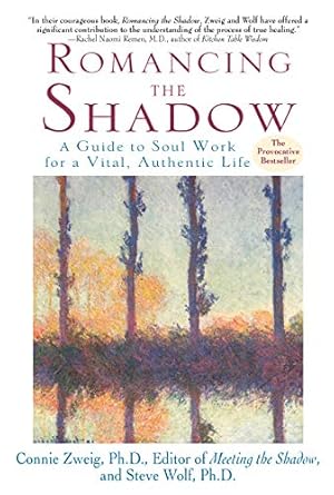 Imagen del vendedor de Romancing the Shadow: A Guide to Soul Work for a Vital, Authentic Life a la venta por Pieuler Store