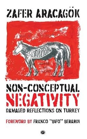 Bild des Verkufers fr Non-Conceptual Negativity: Damaged Reflections on Turkey zum Verkauf von GreatBookPrices