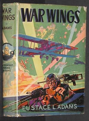 War Wings (Air Combat Stories for Boys)