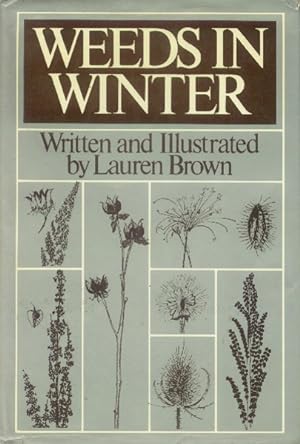 Weeds in Winter