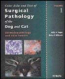 Imagen del vendedor de Color Atlas and Text of Surgical Pathology of the Dog and Cat a la venta por Pieuler Store