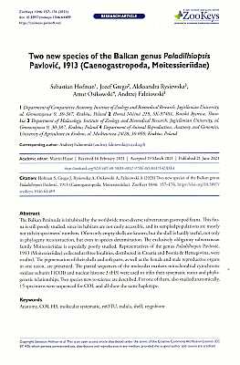 Bild des Verkufers fr Two new species of the Balkan genus Paladilhiopsis Pavlovi?, 1913 (Caenogastropoda, Moitessieriidae) zum Verkauf von ConchBooks