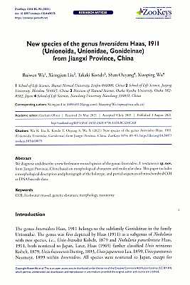 Immagine del venditore per New species of the genus Inversidens Haas, 1911 (Unionoida, Unionidae, Gonideinae) from Jiangxi Province, China venduto da ConchBooks