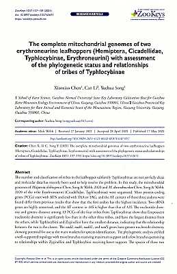 Bild des Verkufers fr The complete mitochondrial genomes of two erythroneurine leafhoppers (Hemiptera, Cicadellidae, Typhlocybinae, Erythroneurini) with assessment of the phylogenetic status and relationships of tribes of Typhlocybinae zum Verkauf von ConchBooks