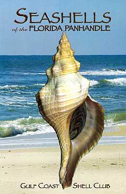 Image du vendeur pour Seashells of the Florida Panhandle [2nd ed.] mis en vente par ConchBooks