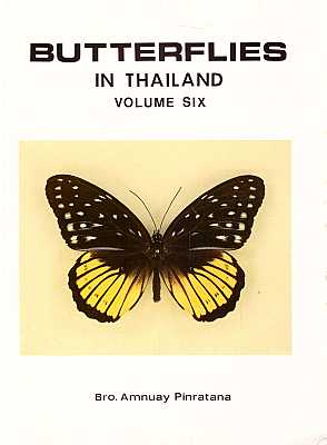 Imagen del vendedor de Butterflies in Thailand, Vol. Six: Satyridae, Libytheidae and Riodinidae a la venta por ConchBooks