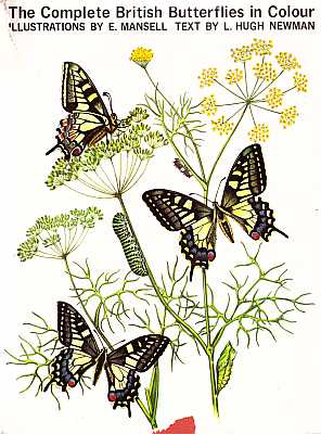 Bild des Verkufers fr The Complete British Butterflies in Colour zum Verkauf von ConchBooks
