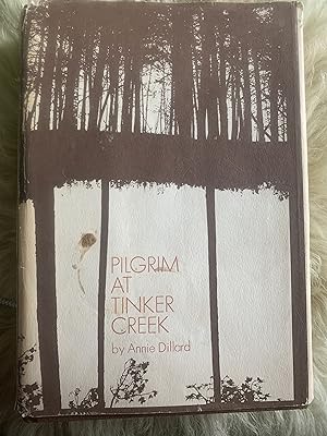 Pilgrim At Tinker Creek