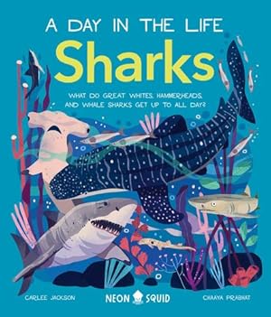 Seller image for Sharks (A Day in the Life): What Do Great Whites, Hammerheads, and Whale Sharks Get Up To All Day? by Neon Squid, Jackson, Carlee [Hardcover ] for sale by booksXpress