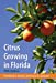 Immagine del venditore per Citrus Growing in Florida [Soft Cover ] venduto da booksXpress