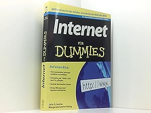 Internet für Dummies