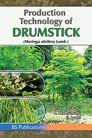 Seller image for Production Technology of Drumstick for sale by Vedams eBooks (P) Ltd