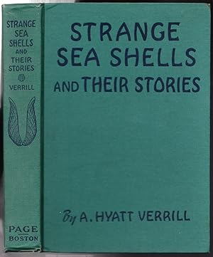 Strange Sea Shells and Their Stories