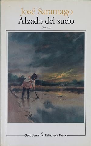 Seller image for Alzado del suelo for sale by Librera Alonso Quijano
