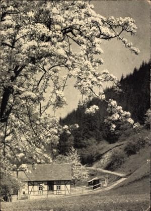 Bild des Verkufers fr Ansichtskarte / Postkarte Hockeroda Kaulsdorf in Thringen, holdes Land, Baum, Fachwerkhaus zum Verkauf von akpool GmbH