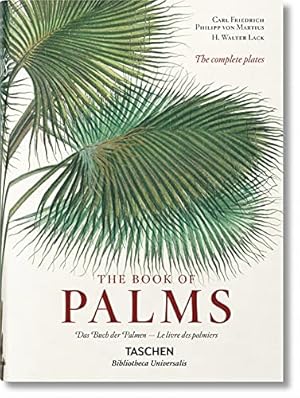Image du vendeur pour The Book of Palms / Das Buch der Palmen / Le livre des palmiers mis en vente par Pieuler Store