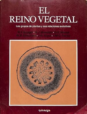 Seller image for EL REINO VEGETAL - LOS GRUPOS DE PLANTAS Y SUS RELACIONES EVOLUTIVAS. for sale by Librera Smile Books