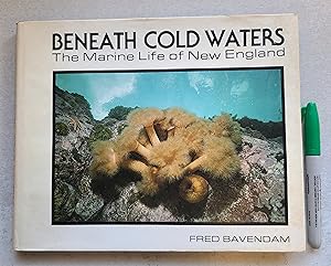 Seller image for Beneath Cold Waters The Marine Life of New England for sale by East Aurora Bookworm