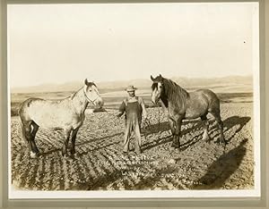 Seller image for PHOTOGRAPH OF LAFAYETTE A. SKEENS WITH TWO PUREBRED PERCHIONS, ARBAC & RITTA for sale by BUCKINGHAM BOOKS, ABAA, ILAB, IOBA