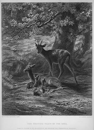 THE RESTING PLACE OF THE DEER After ROSA BONHEUR,1879 Steel Engraving