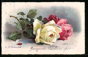 Bild des Verkufers fr Knstler-Ansichtskarte Catharina Klein: Roter und weisse liegende Rosen zum Verkauf von Bartko-Reher