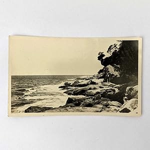 Snapshot Photograph of Rocks, Botany Bay