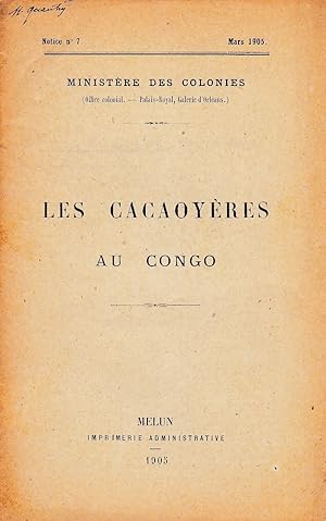 Les cacaoyères au Congo