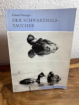 Bild des Verkufers fr Der Schwarzhalstaucher. Podiceps nigricollis. zum Verkauf von Antiquariat an der Nikolaikirche