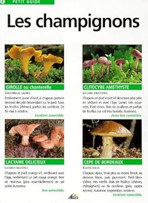 Les champignons - Collectif