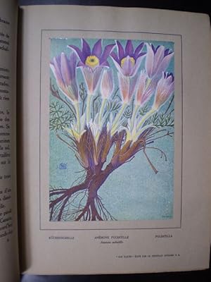 Seller image for Nos fleurs for sale by Buchfink Das fahrende Antiquariat