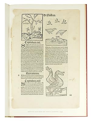 Seller image for The Garden of Health. An Account of Two Herbals. The "Gart der Gesundheit" and the "Hortus Sanitatis". for sale by John Windle Antiquarian Bookseller, ABAA