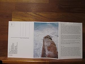 Bild des Verkufers fr Postkartenleporello Bill Tonga: Sea I Nr. 85 zum Verkauf von Antiquariat im Kaiserviertel | Wimbauer Buchversand