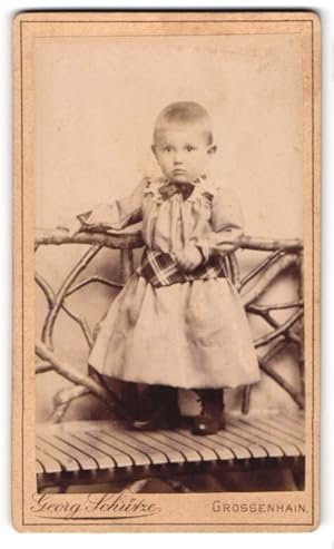 Bild des Verkufers fr Fotografie Georg Schtze, Grossenhain, Johannes-Allee 64b, Portrait ssses Kleinkind im Kleidchen auf einer Bank stehend zum Verkauf von Bartko-Reher