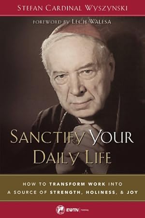 Bild des Verkufers fr Sanctify Your Daily Life : How to Transform Work into a Source of Strength, Holiness, and Joy zum Verkauf von GreatBookPrices