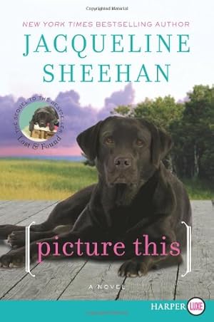 Seller image for Picture This: A Novel (Peaks Island) by Sheehan, Jacqueline [Paperback ] for sale by booksXpress