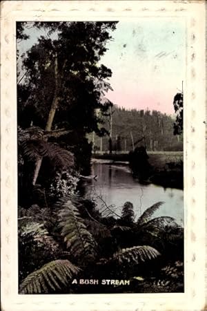 Ansichtskarte / Postkarte Neuseeland New Zealand, A Bush Stream, Fluss