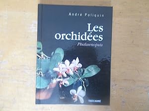 Les orchidées, phalaenopsis