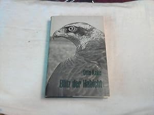 Blitz, der Habicht . Mit dem Beizvogel im Revier