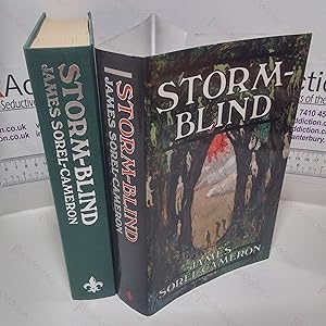 Bild des Verkufers fr Storm-Blind zum Verkauf von BookAddiction (ibooknet member)