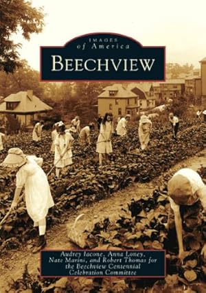 Seller image for Beechview (PA) (Images of America) by Audrey Iacone, Anna Loney, Nate Marini, Robert Thomas [Paperback ] for sale by booksXpress