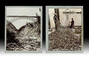 [Black Canadiana] Two 19th c. Photographs - 7,500 Oolacchans in Catch & Stoney Creek Bridge, Selk...