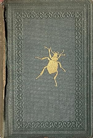 An introduction to entomology