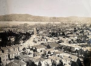 Wellington, city and harbour view