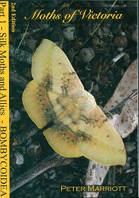 Immagine del venditore per Moths of Victoria: part one, Silk moths and allies Bombycoidea. venduto da Andrew Isles Natural History Books
