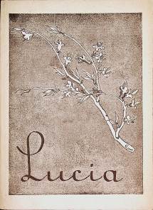 Seller image for Lucia : Eine Erz. Herbert Alexander Sttzer. [Zeichngn v. Tony Heinen] for sale by Schrmann und Kiewning GbR