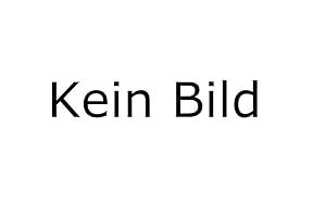 Bild des Verkufers fr Was verschweigt Fest? : Analysen u. Dokumente zum Hitler-Film von J. C. Fest. Jrg Berlin . (Hrsg.) / Kleine Bibliothek ; 120 zum Verkauf von Schrmann und Kiewning GbR