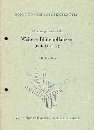 Biologische Skizzenblätter : Erläuterungen zu Serie B: Weitere Blütenpflanzen (Bedecktsamer)