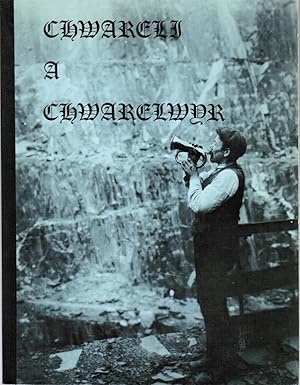 Immagine del venditore per Chwareli a Chwarelwyr. A booklet to accompany an exhibition prepared to celebrate the centenary of the founding of the North Wales Quarrymen's Union. venduto da Schrmann und Kiewning GbR