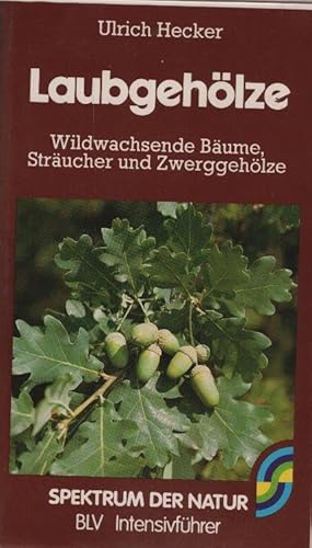 Laubgehölze : wildwachsende Bäume, Sträucher u. Zwerggehölze / Ulrich Hecker