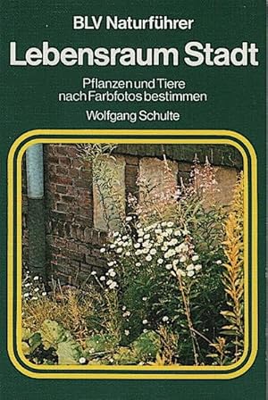 Bild des Verkufers fr Lebensraum Stadt : Pflanzen u. Tiere nach Farbfotos bestimmen / Wolfgang Schulte Pflanzen u. Tiere nach Farbfotos bestimmen (Naturfhrer) zum Verkauf von Schrmann und Kiewning GbR